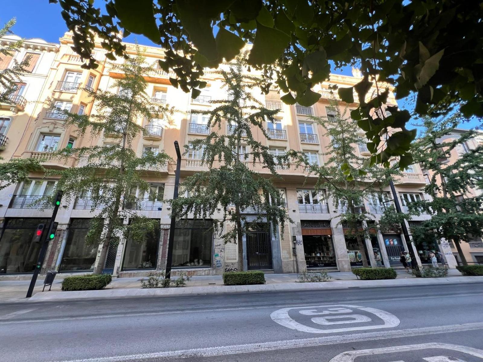 Heart Of Granada Apartment Luaran gambar